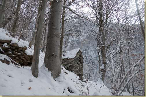 arrivo all'Alpe Uler...