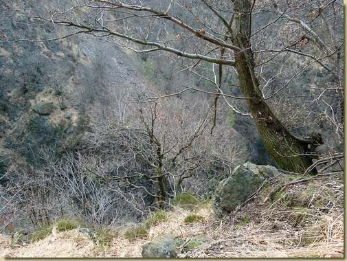 al bivio del sentiero...