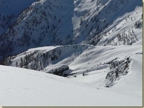 Al Geccio [teleobiettivo] 