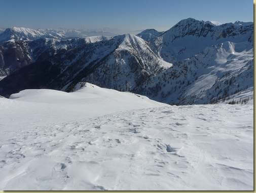 sul pendio che scende al Geccio... 