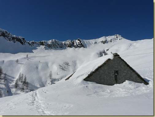 lo stallone del Geccio 