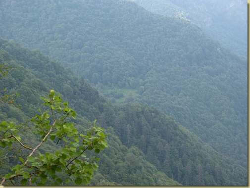vista verso il prato di Riazzoli...