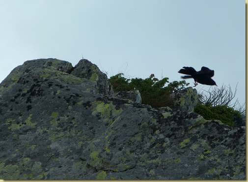 in volo...