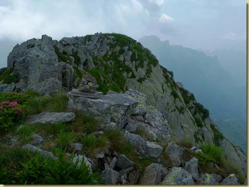 sulla cima...