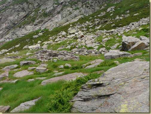 i ruderi dell'Alpe Teccia 