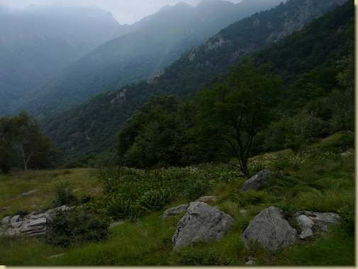 la Costa del Faticos vista dall'Alpe Aur&agrave;