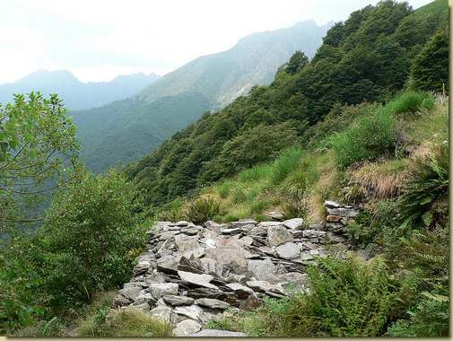 l'Alpin...