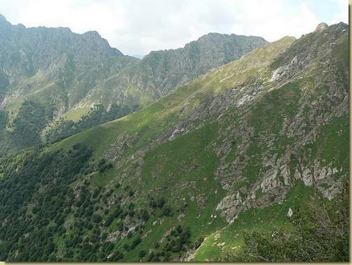 i prati dell'Alpin
