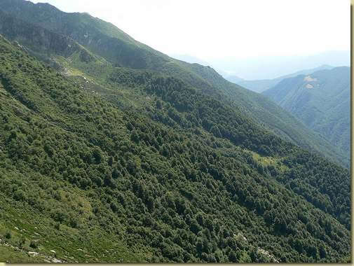 in basso a destra il prato dell'Alpe Aur&agrave;