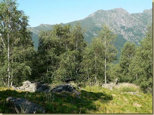 Alpe Schin