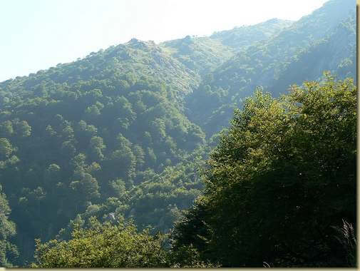 in alto il prato di Corte Gemello - dall'Alpe Schin 