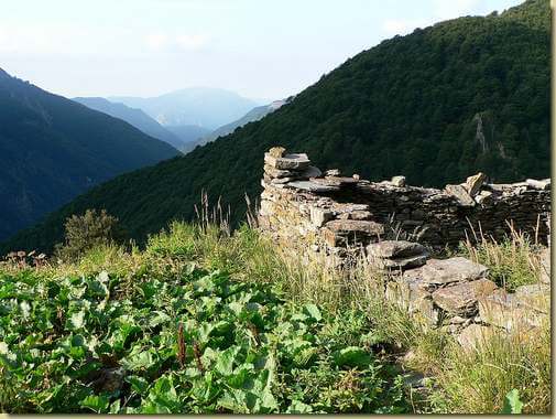 Alpe Terza