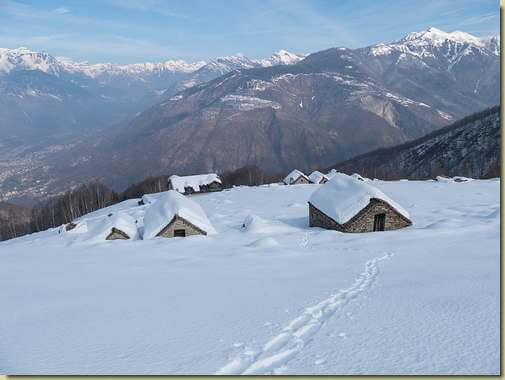 Parpinasca...