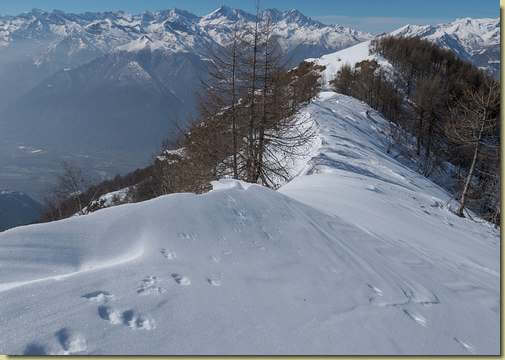 tracce sulla neve...