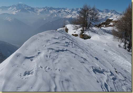 tracce sulla cresta...