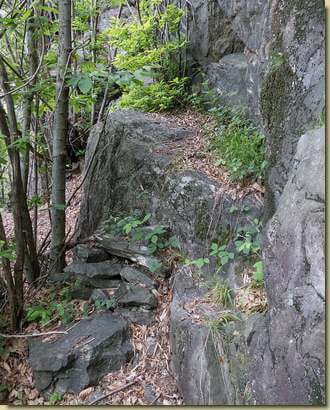 il passaggio (quasi) obbligato...