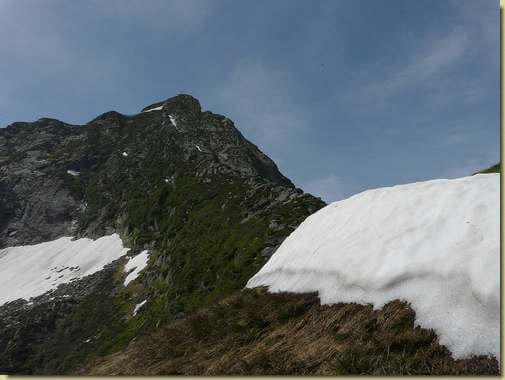 sulla cresta al termine del bosco 