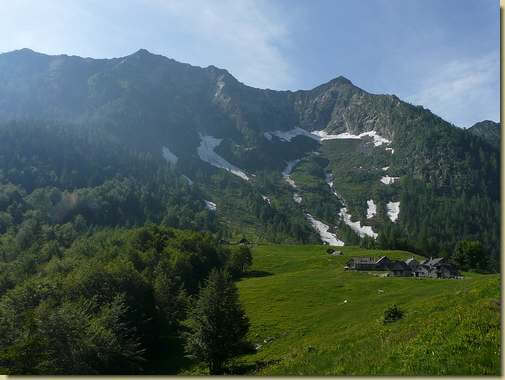 all'Alpe Campra, in alto il Pizzo Ragno e il Pizzo Nona 