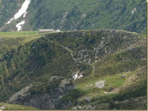 Al Geccio [teleobiettivo] 