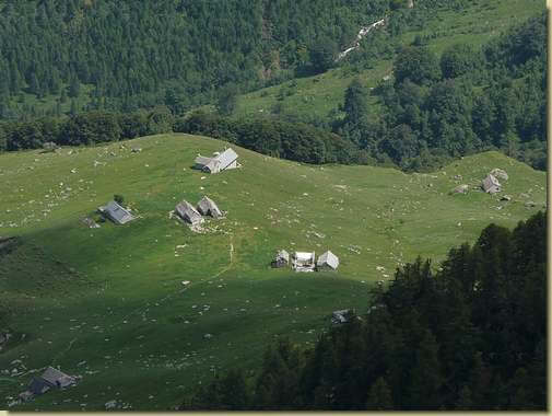 Al Cedo [teleobiettivo] 