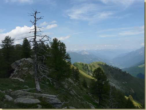 sulla Costa Scarone... 