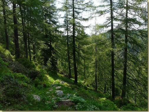 lungo il 'Sentiero Natura'... 