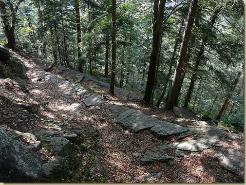 la str&agrave;a di vacch nel Bosco di Fracchia
