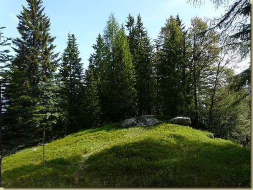 alla quota 1648 m. all'inizio della cresta nord del Pizzo Ragno 