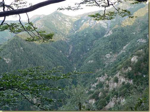 Valle di Ragozzale - scendendo verso l'Alpe Casarolo