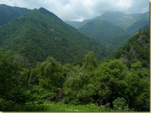 all'Alpe Riazzoli...