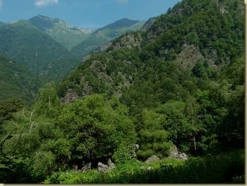 all'Alpe Riazzoli, in primo piano la Costa Mazza, sullo sfondo il Togano