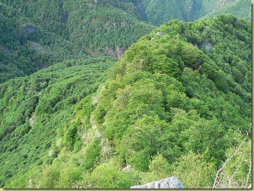 sulla Costa dei Riazzoli - a sinistra la zona dell'Alpe Portaiola