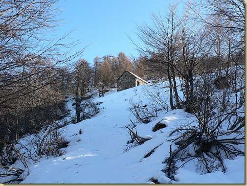 in discesa dall'Alpe Giogh 