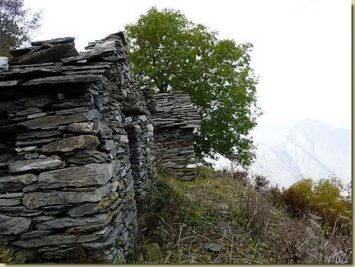 Alpe Loro...
