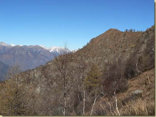 il Pizzo Colla Bassa  