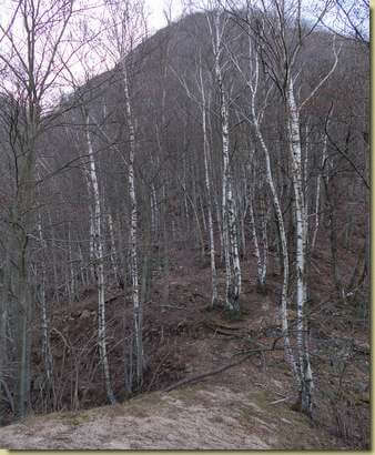 sul dosso di Cruppo Lepre...