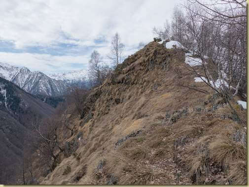 sulla Costa dei Pianezzoli...