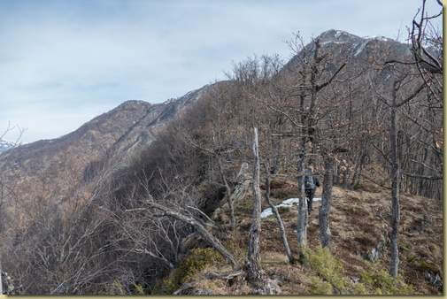 sul tratto iniziale della Costa dei Pianezzoli...