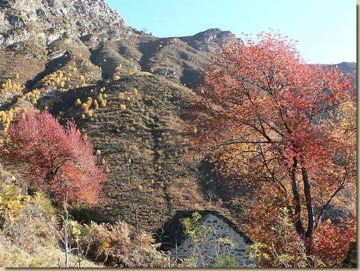 La Colla vista da I Curt
