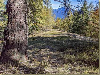 i primi prati sulla Costa della Cima...