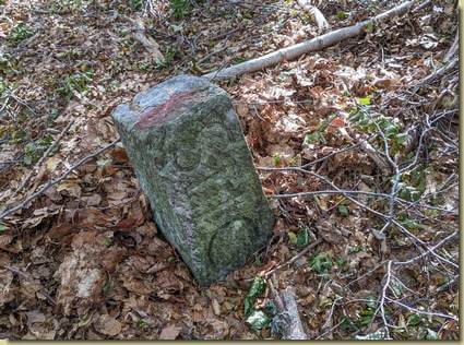 confine comunale... (SMG = Santa Maria Maggiore)...