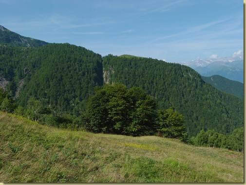 la dorsale di Noccola...