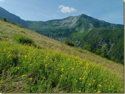 vista verso il Tignolino...