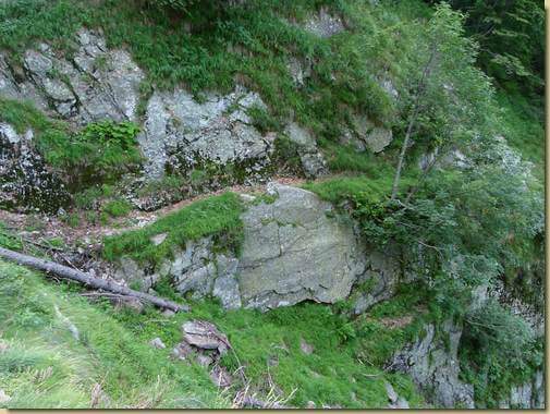 sul sentiero per Sassoledo...