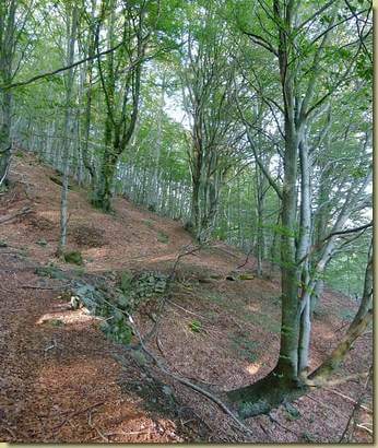 sul sentiero per l'Erta...