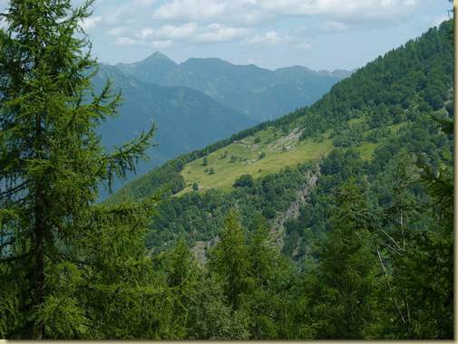 vista verso l'Alpe Roi...
