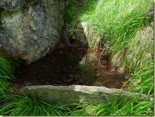 sorgente lungo il sentiero per Noccola...