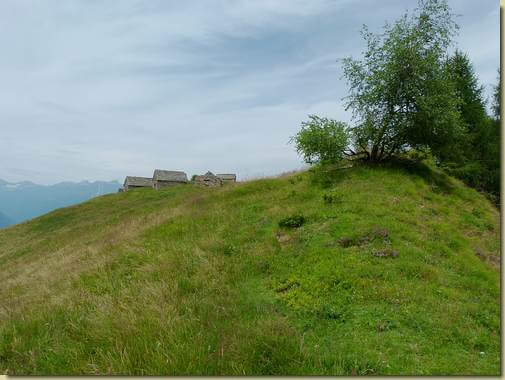 arrivo all'Alpe Noccola...