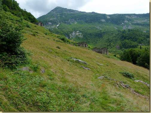 i prati dell'Alpe Campo...