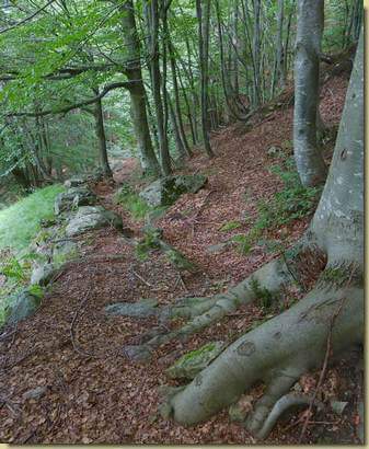 sul sentiero per Briasca...